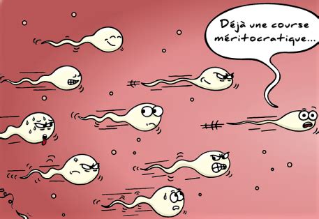 Quelle est la durée de vie des spermatozoïdes après une éjaculation