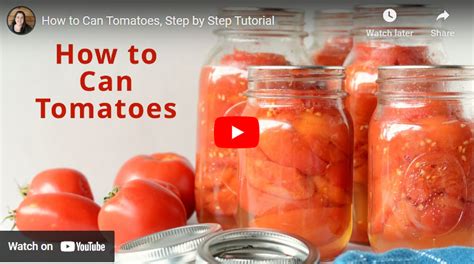 Beginners Guide How To Process Tomatoes