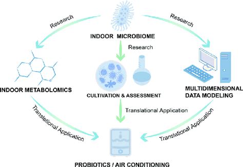 Future directions and perspectives in the indoor microbiome field ... 