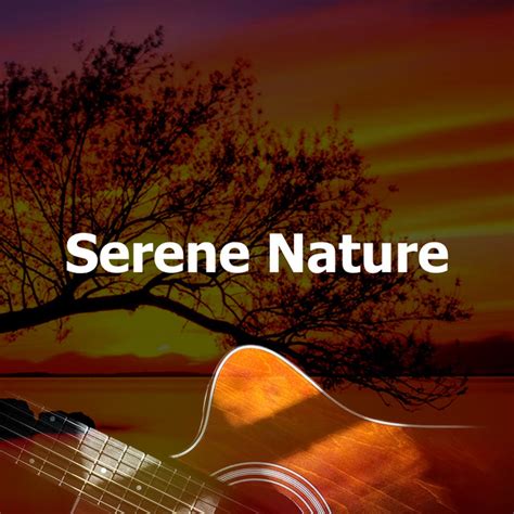 Serene Nature Album By Natures Acoustics Spotify