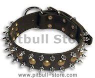 APBT 3 Rows Leather Spiked and Studded Dog 【Collar-】 Spiked Collar ...