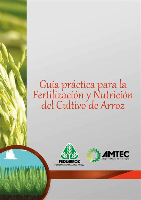 Cartilla Fertilizacion Nutricion Arroz Gu A Pr Ctica Para La