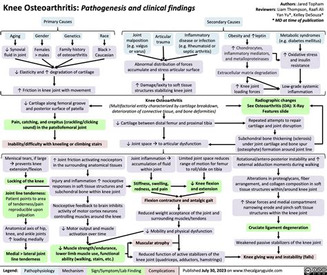 Knee Osteoarthritis Pathogenesis And Clinical Findings Calgary Guide