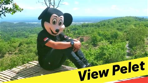 Taman Wisata Alam View Pelet Lombok Tengah Youtube