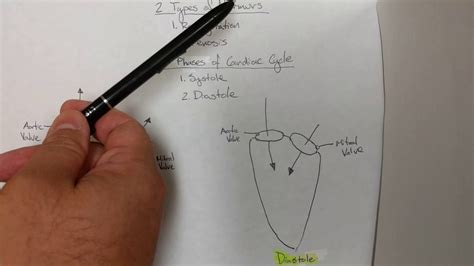 The Cardiovascular Institute Auscultation Murmurs Uri M Ben Zur Md Facc Youtube