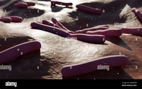 3d Animation Of Mycobacterium Leprae Is A Gram Positive Bacteria That Causes Leprosy Also