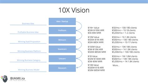 10X Strategy - BIAMI.IO - 10X Your Business!