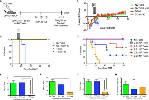 Frontiers Combining Immunocytokine And Ex Vivo Activated Nk Cells As