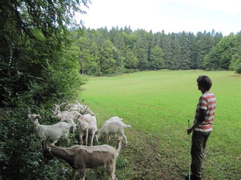 Live and Learn on Organic Farms - WWOOF Spain