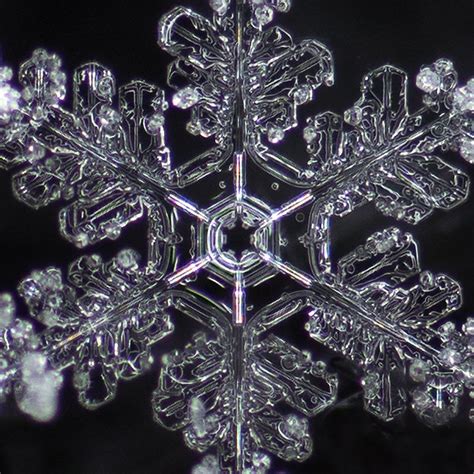 Snowflake Close-up | Snowflakes, Close up, City photo