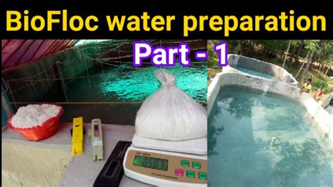 Biofloc Water Preparation Process Part 1 Biofloc Tank Me Water