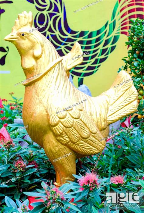 Golden chicken statue, Stock Photo, Picture And Low Budget Royalty Free ...