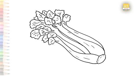 Celery Drawings Vegetable Drawing Tutorials How To Draw Celery Step