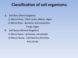 Soil Organisms, functions and their role in Soil fertility | PPT