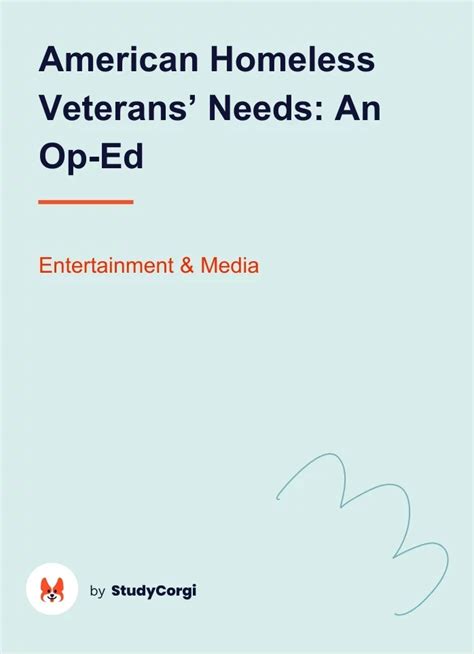 American Homeless Veterans Needs An Op Ed Free Essay Example