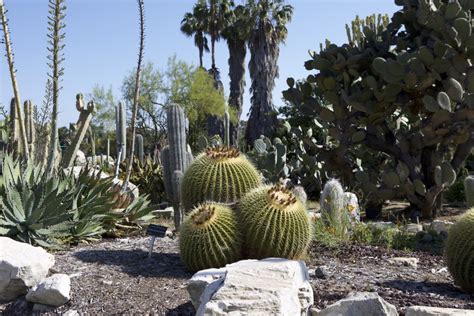 South Coast Botanic Garden: Jewel of the Palos Verdes Peninsula ...