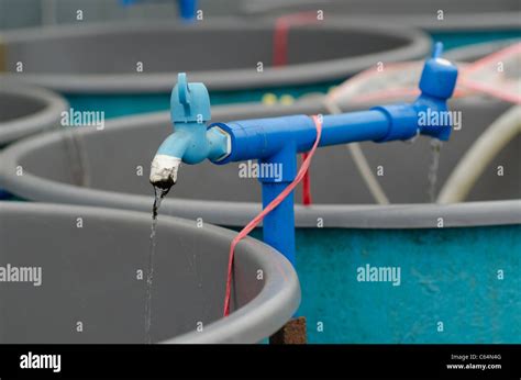 Agriculture Aquaculture Water System Farm Stock Photo Alamy