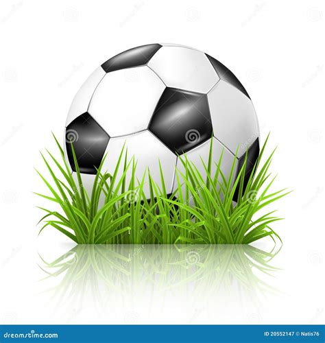 Soccer Ball On Grass Stock Vector Illustration Of Ball 20552147