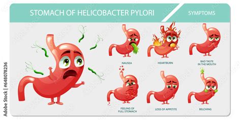 Helicobacter pylori symptoms infographic with cartoon stomach ...