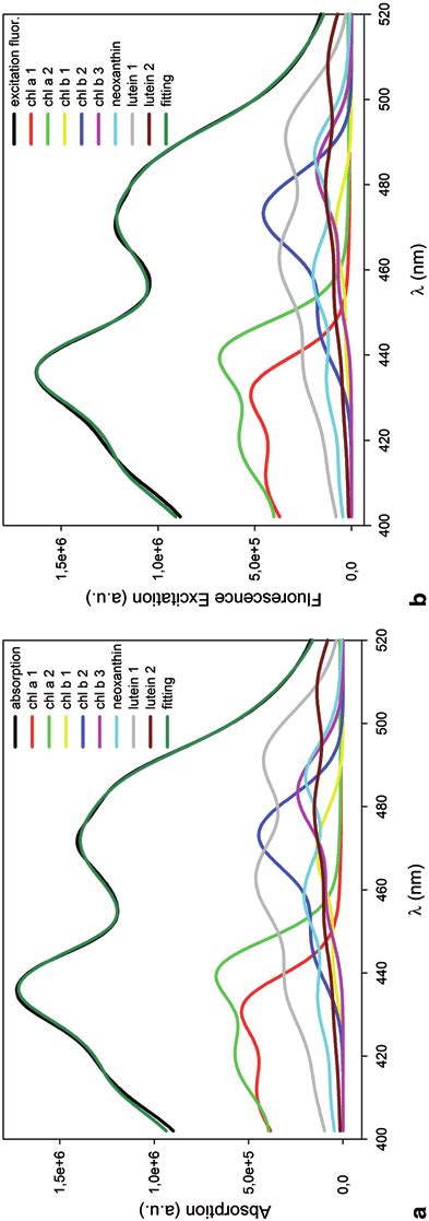 Spectral Deconvolution Of Absorption And Fluorescence Excitation