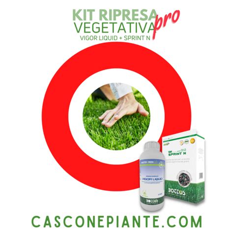 1 1 Kit Ripresa Vegetativa Bottos Cascone Piante