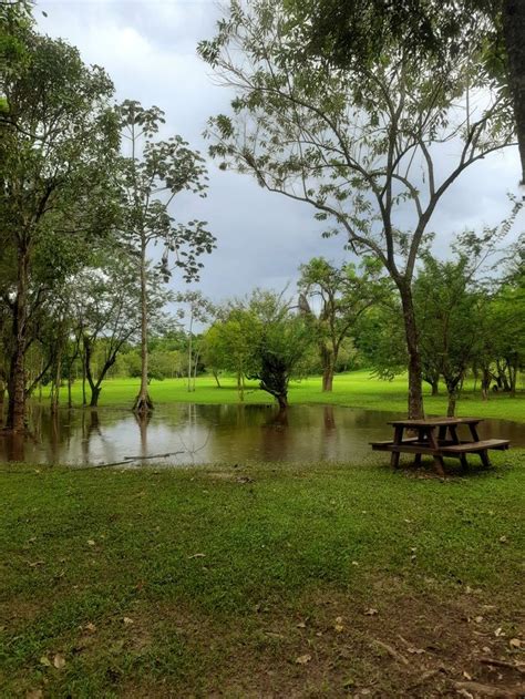 Parque Da Cidade Pindamonhangaba Em Cidade Parque Fotografias