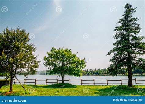 Ilsan Lake Park in Goyang, Korea Stock Image - Image of calm, pond ...