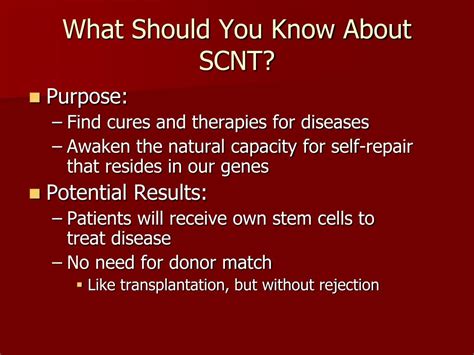 PPT - Stem Cells PowerPoint Presentation, free download - ID:3036475