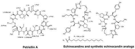 Cyclic Peptides With Antifungal Properties Derived From Bacteria Fungi Plants And Synthetic