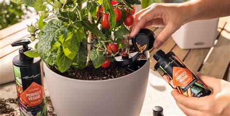LECHUZA Self-Watering Planters