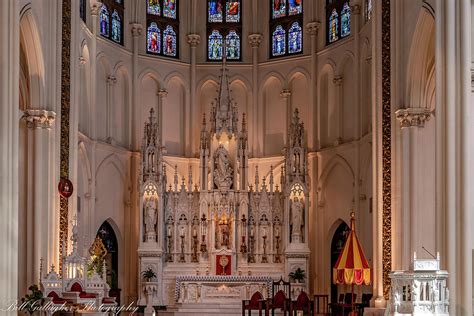 Cathedral Basilica of the Immaculate Conception Photograph by Bill Gallagher - Fine Art America