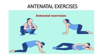 ANTENATAL EXERCISES.pptx