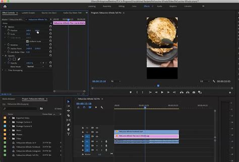premiere pro movement effects  isaac brier blog
