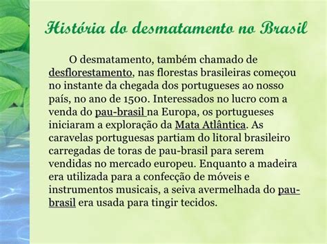 Texto Sobre O Desmatamento