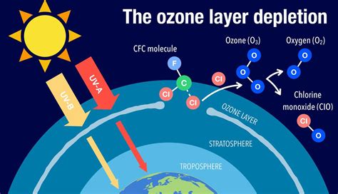 Is the Ozone Layer Healing? Scientists Say Yes