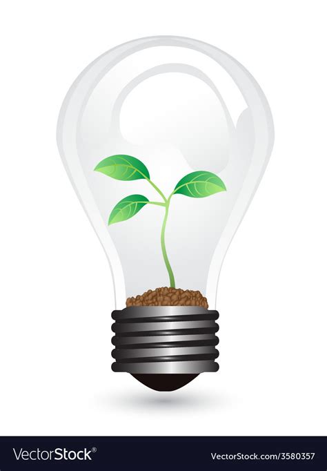 Light Bulb Plant Royalty Free Vector Image VectorStock