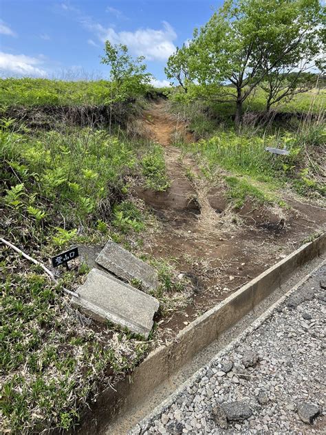 一ノ峯・二ノ峯 みごりさんの俵山・冠ヶ岳・清栄山の活動データ Yamap ヤマップ