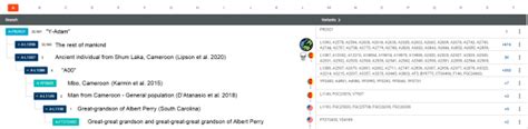 Rare African Y Dna Haplogroup A00 Sprouts New Branches Dnaexplained