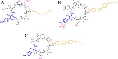 Echinocandins Caspofungin A Micafungin B And Anidulafungin C Download Scientific