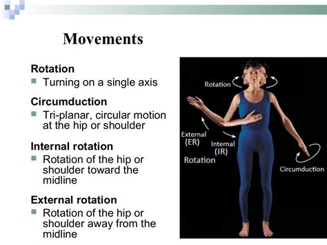 Introduction to Anatomy