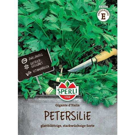 Sperli Petersilie Gigante D Italia Packung Bloomling Deutschland