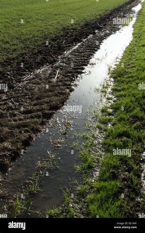 Muddy Puddle Field High Resolution Stock Photography And Images Alamy