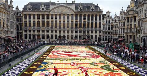 Les Premi Res Images Du Tapis De Fleurs Sur La Grand Place De Bruxelles