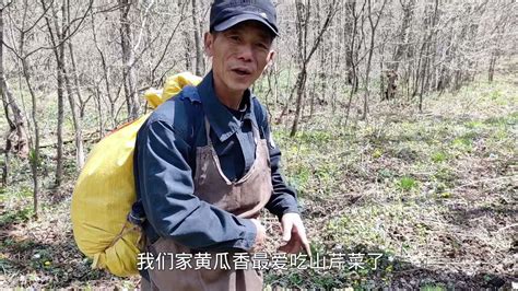 跑山日记：刺老芽给媳妇挖山芹菜，结婚30年感情还这么好！ Youtube