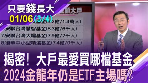 基金經理人敢衝 跟著押寶能吃香7檔台股etf去年報酬率逾40 今年還能繼續衝【20240106第34段只要錢長大鄭明娟王文良