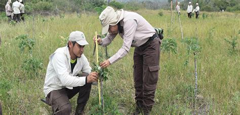 Avanza Monitoreo De Estrategias De Restauración Ecológica En El Bosque Seco De El Quimbo