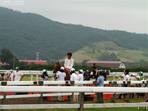 浦河町で第3回「サンクスホースデイズ」開催 馬産地ニュース 競走馬のふるさと案内所