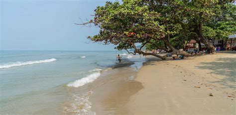 Lively White Sand Beach - Koh Chang - ThailandMagazine.com