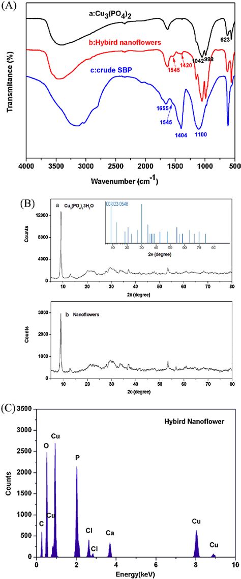 Figure From Self Assembled Enzyme Inorganic Hybrid Nanoflowers And