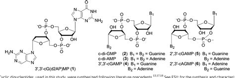 Figure From A Cyclic Dinucleotide Containing Aminopurine Is A